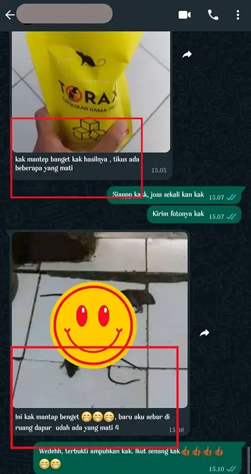 testi-jadi-4-copy.webp