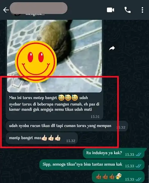 testi-jadi-6-copy.webp